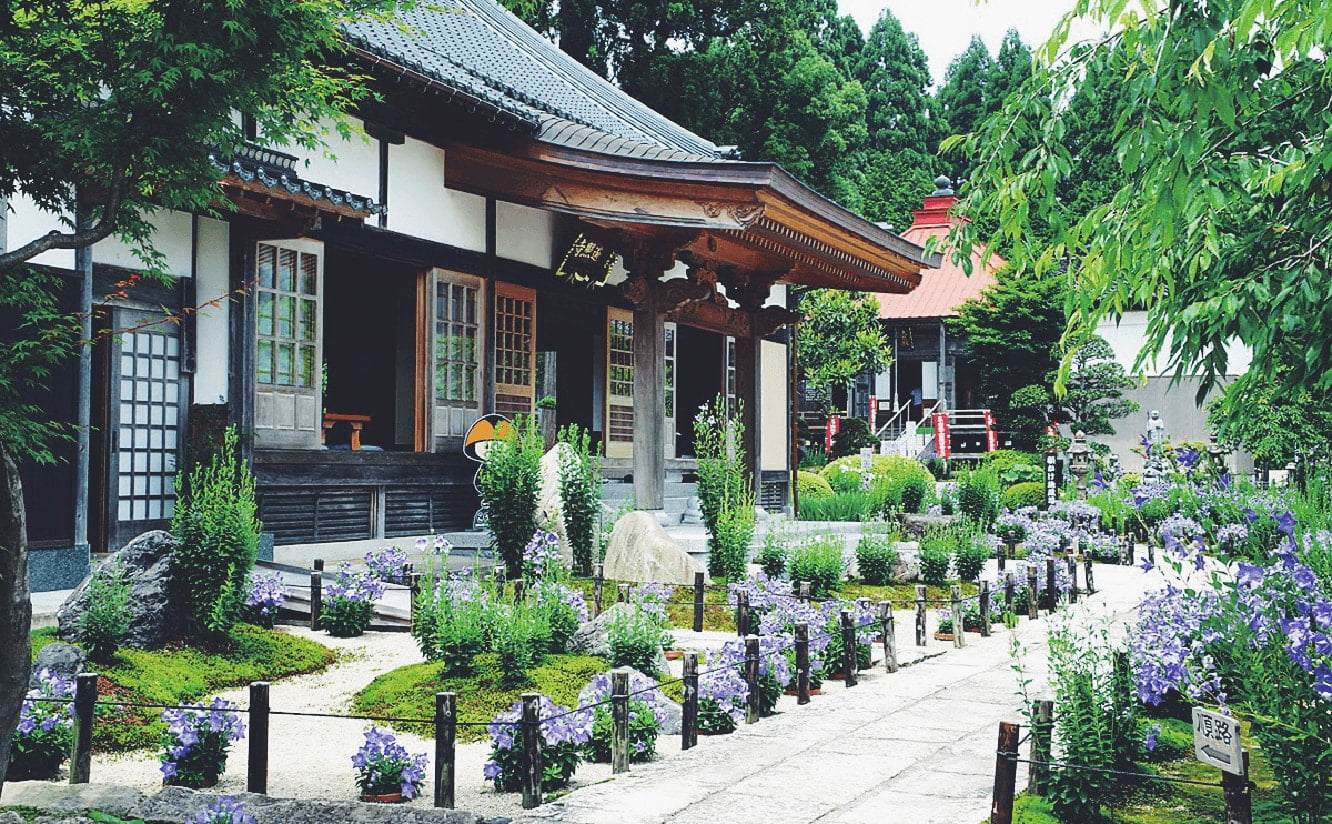 遍照寺 紫雲山｜但馬七花寺霊場の桔梗の寺